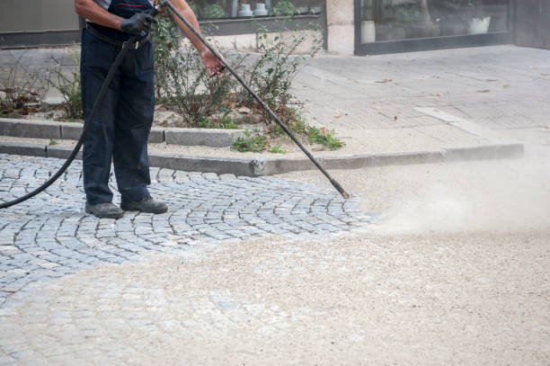 Best Driveway Pressure Washing  in Brownsboro, TX